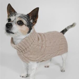 NAKEDCashmere - 100% Cashmere Cable Knit Sweater Medium Size Dog Retail $125